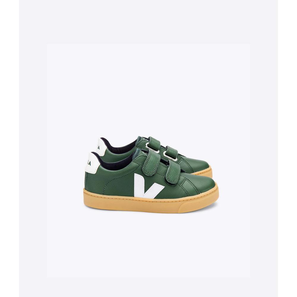 Kids\' Veja ESPLAR LEATHER Shoes Green | SG 736TCE